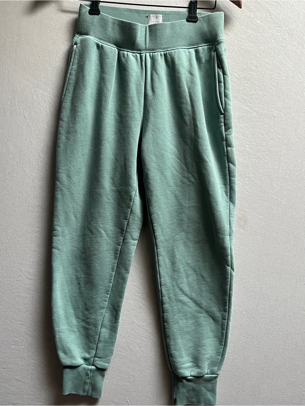 TNA Cozy AF Fleece Sage Green Jogger Pants XS